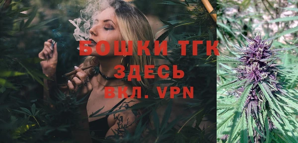 трава Белокуриха